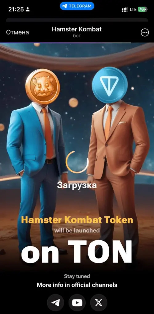 Хамстер ошибка