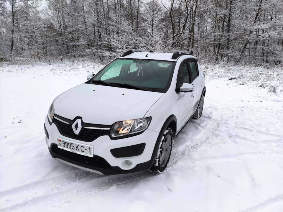 Фото в бортжурнале Renault Logan Stepway