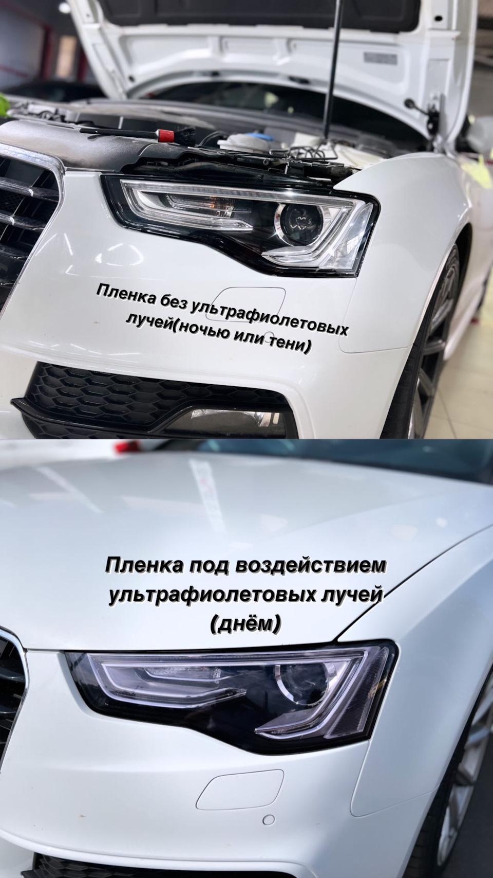 Фотохром | бронирование передней оптики — Audi A5 (1G), 2 л, 2014 года |  стайлинг | DRIVE2