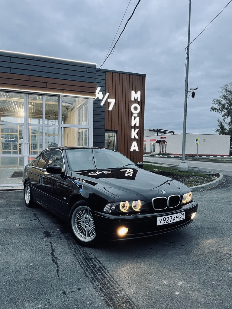 Всех приветствую! — BMW 5 series (E39), 2,2 л, 2003 года | покупка машины |  DRIVE2