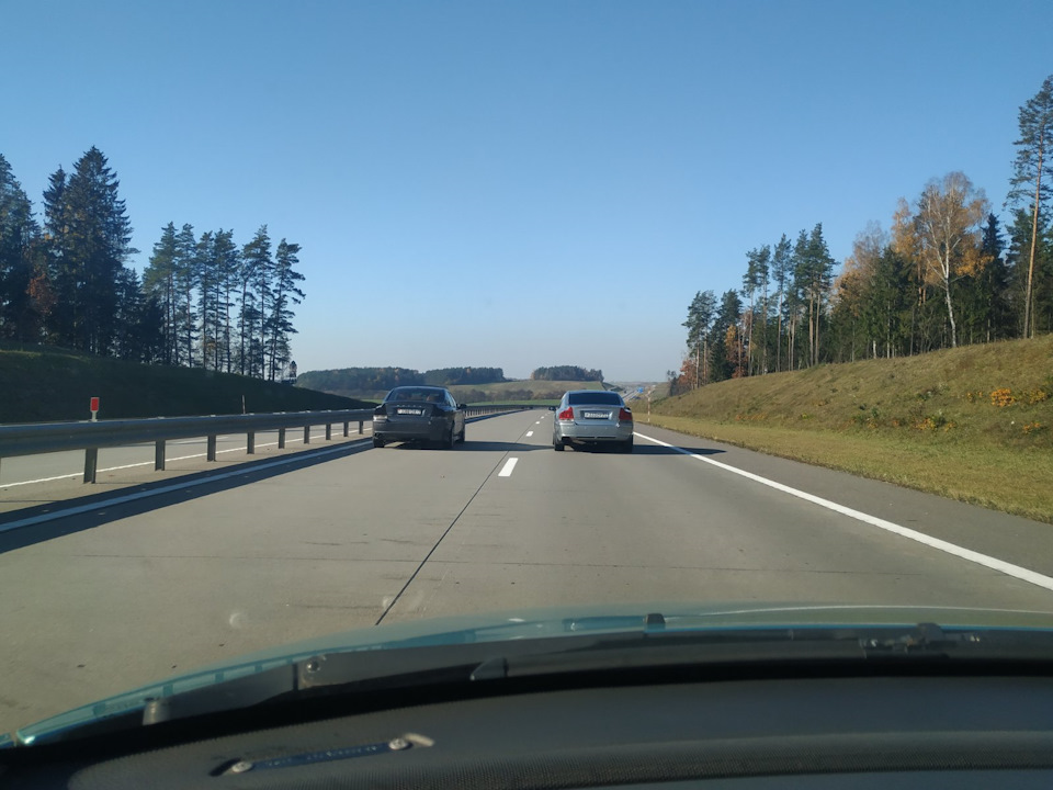 Рамка номера и демпферная прокладка — Audi Q5 (1G), 2 л., 2009 года ...