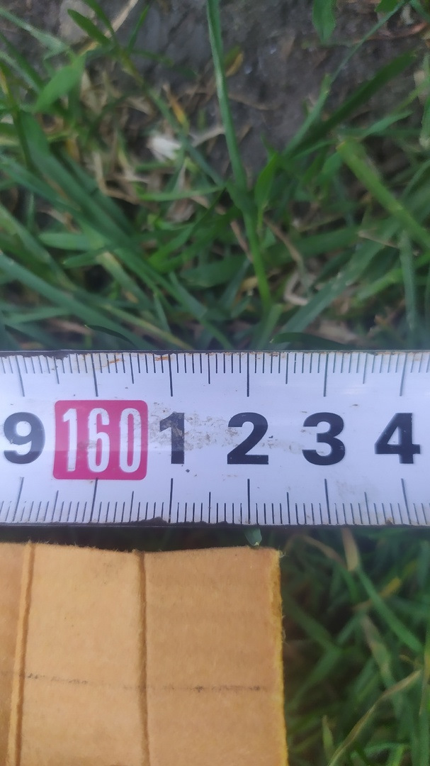 длинна фильтрующего элемента — Hyundai Solaris (1G)