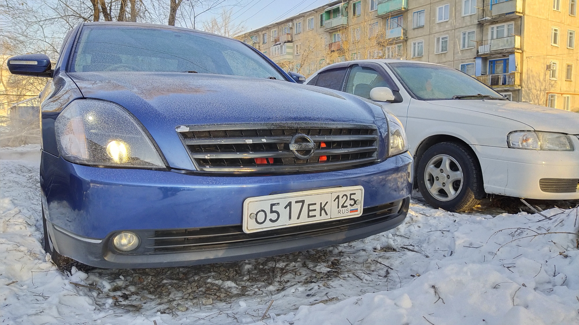 Nissan Teana (J31) 2.5 бензиновый 2004 | Аврора на DRIVE2