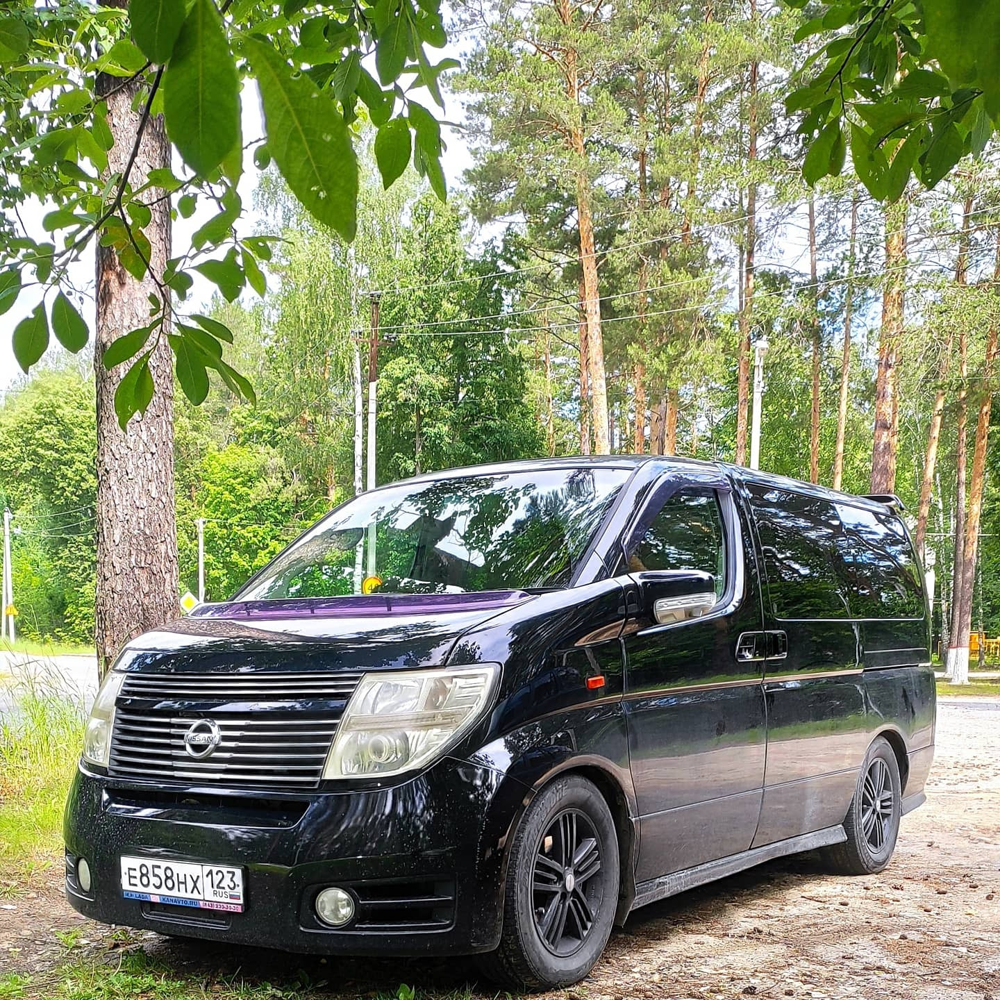 Nissan elgrand 51. Nissan Elgrand e51. Nissan Elgrand 2008. Ниссан Эльгранд 51 кузов.