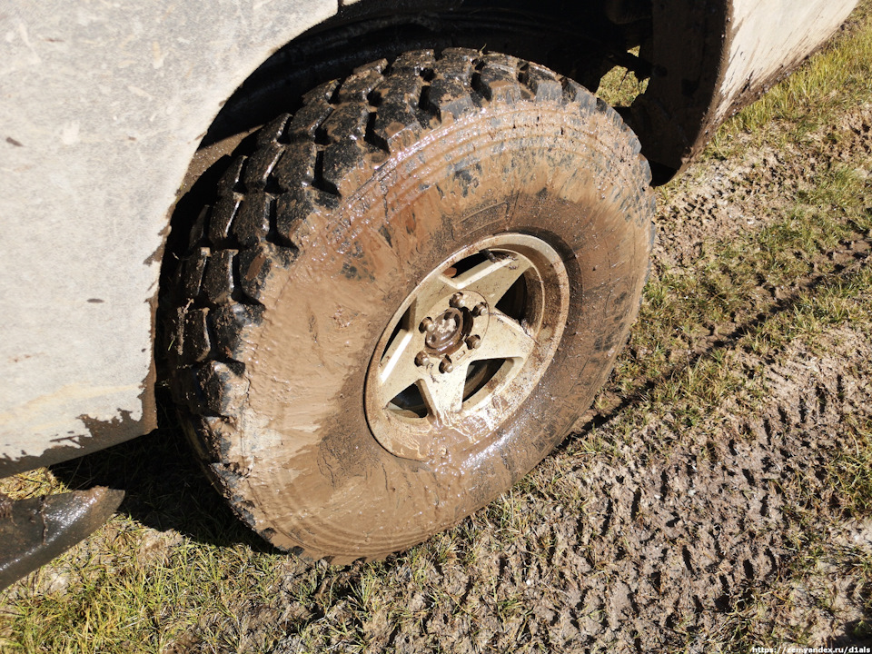 Езда по болотистым почвам на давлении 0,7 атм — Nissan Patrol GR II (Y61)