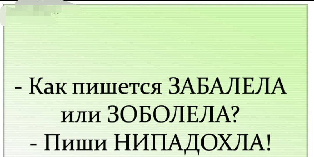 Картинка как писать выздоровела или выздоровила пиши нипадохла