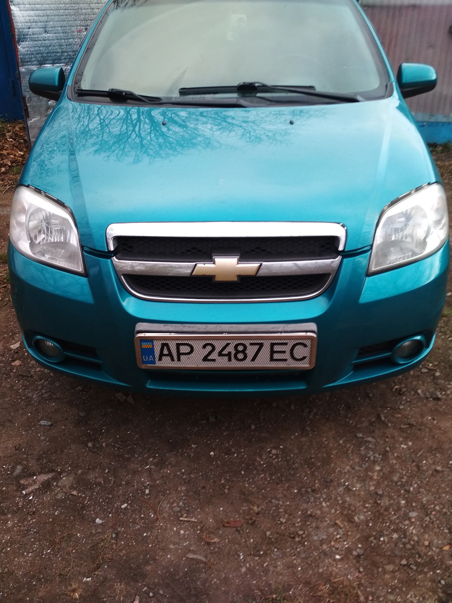 Накладка на решётку радиатора или модная картонка — Chevrolet Aveo Sedan  (1G), 1,5 л, 2008 года | аксессуары | DRIVE2