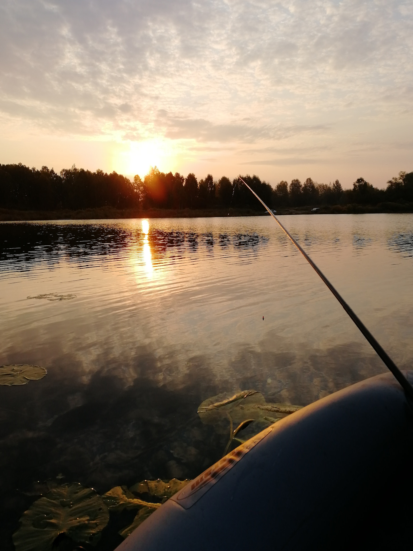 Летним утром мы направляемся на рыбалку природа