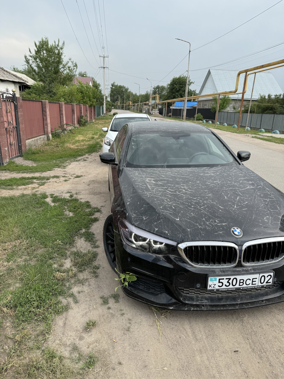 Забрали) — BMW 5 series (G30), 2 л, 2017 года | покупка машины | DRIVE2