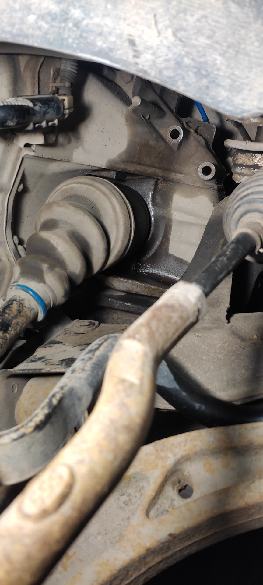 Замена заднего сальника коленвала — Acura MDX (1G), 3,5 л, 2001 года ...