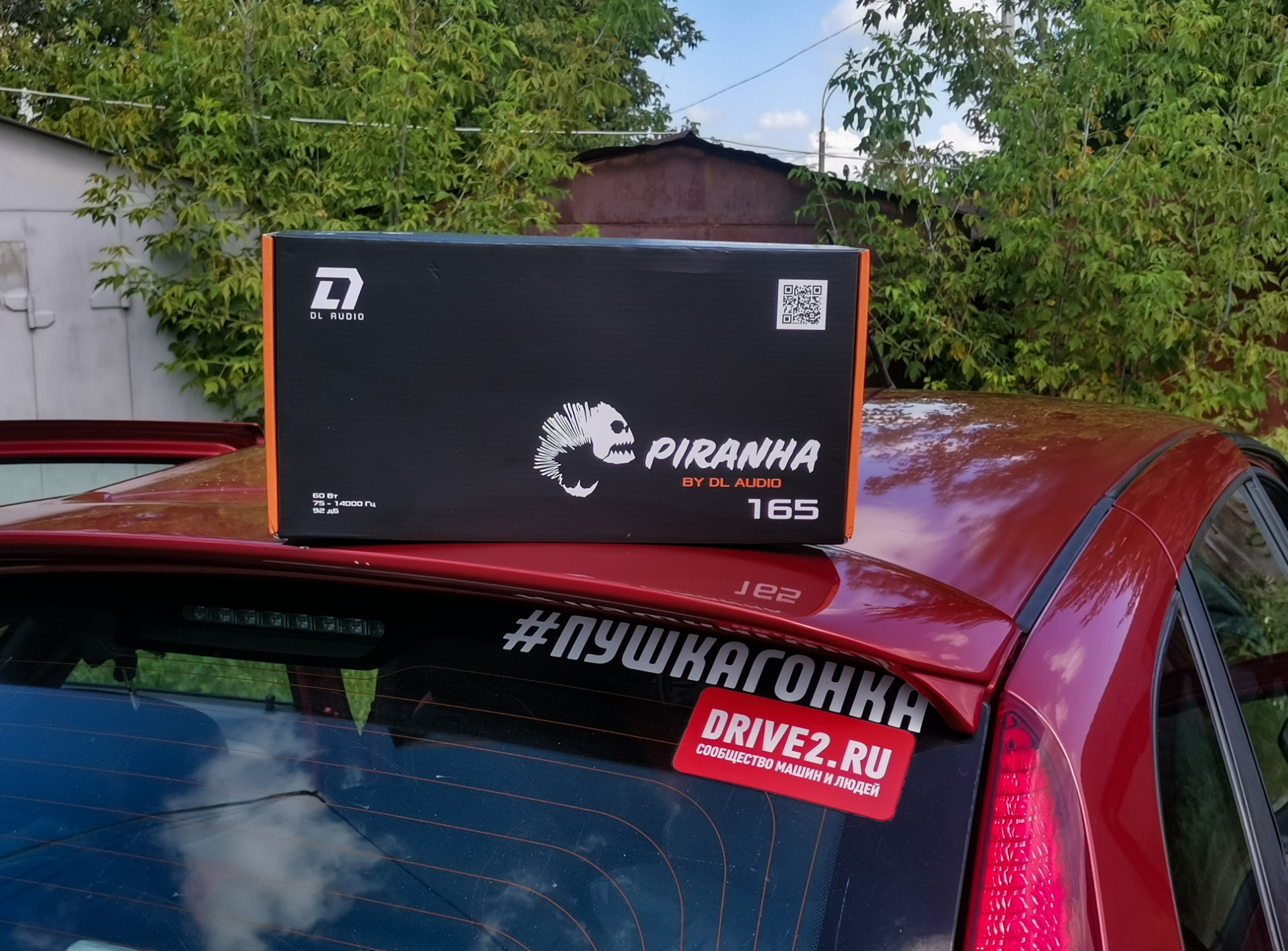 Dl audio piranha 165