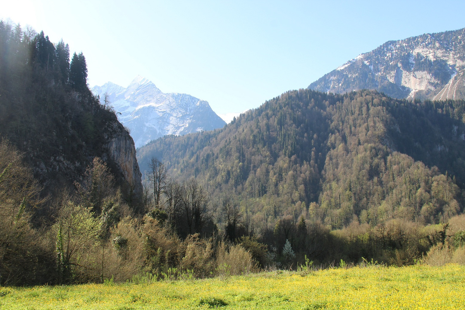 Абхазия в начале мая фото