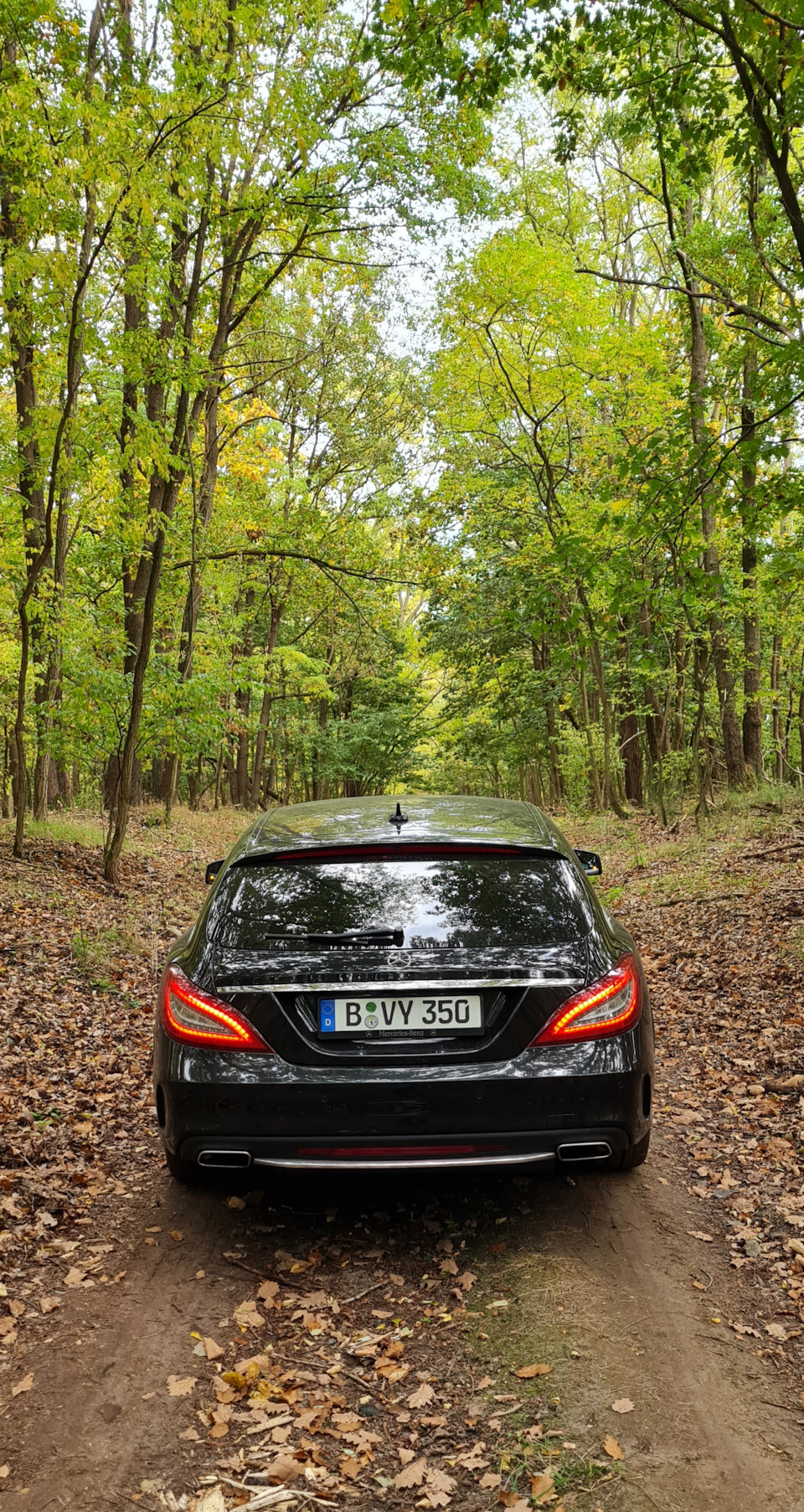 Прошёл гос. Техосмотр, прокатился в лес — Mercedes-Benz CLS Shooting Brake  (X218), 3 л, 2017 года | техосмотр | DRIVE2