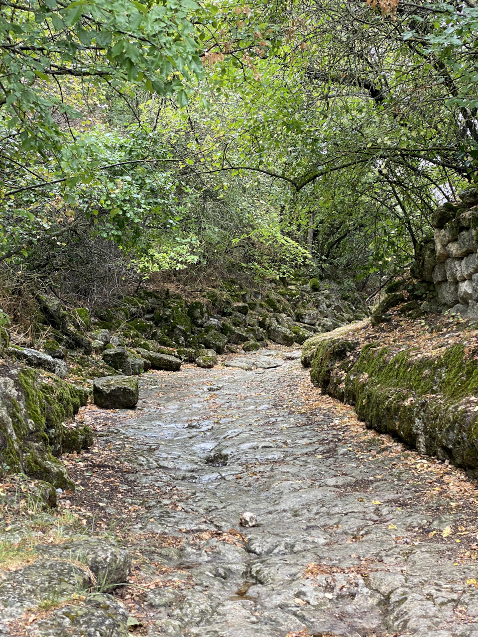 Фото в бортжурнале Mazda CX-5 (2G)