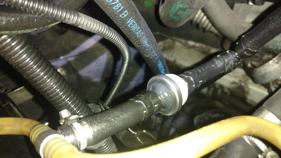 Фото в бортжурнале BMW X5 (E53)