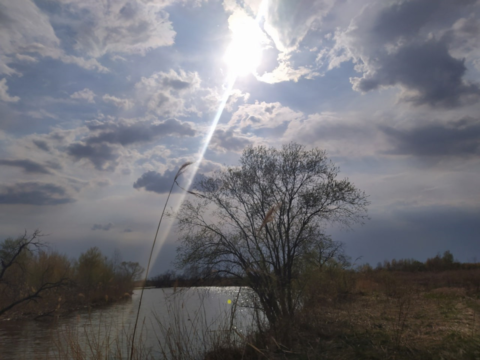 Фото в бортжурнале Subaru Forester (SG)