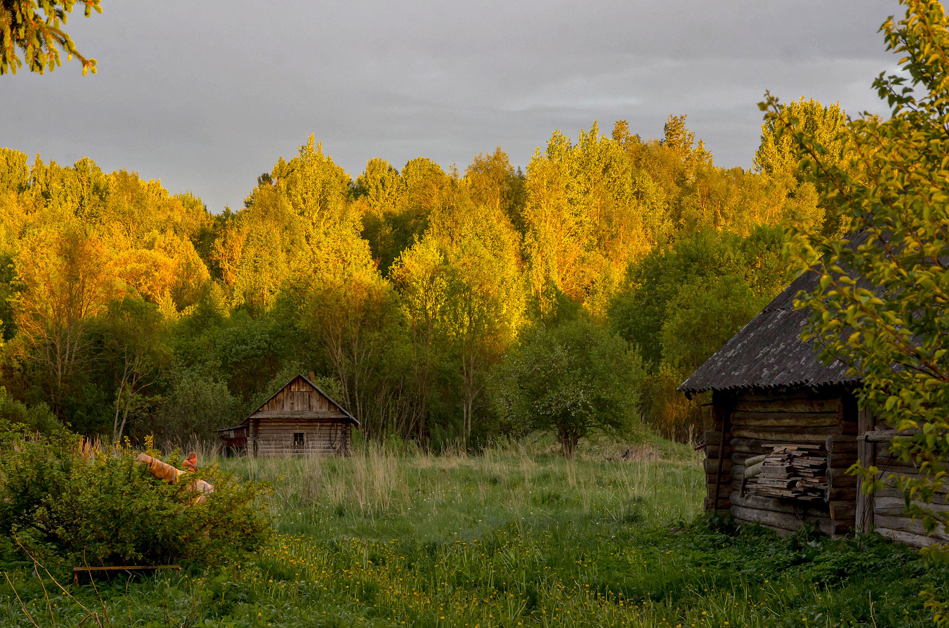 Деревня моя деревянная дальняя слушать. Глухая деревня. Глухие деревни. Глухие живописные деревни. Глухие деревни Новгородской области.