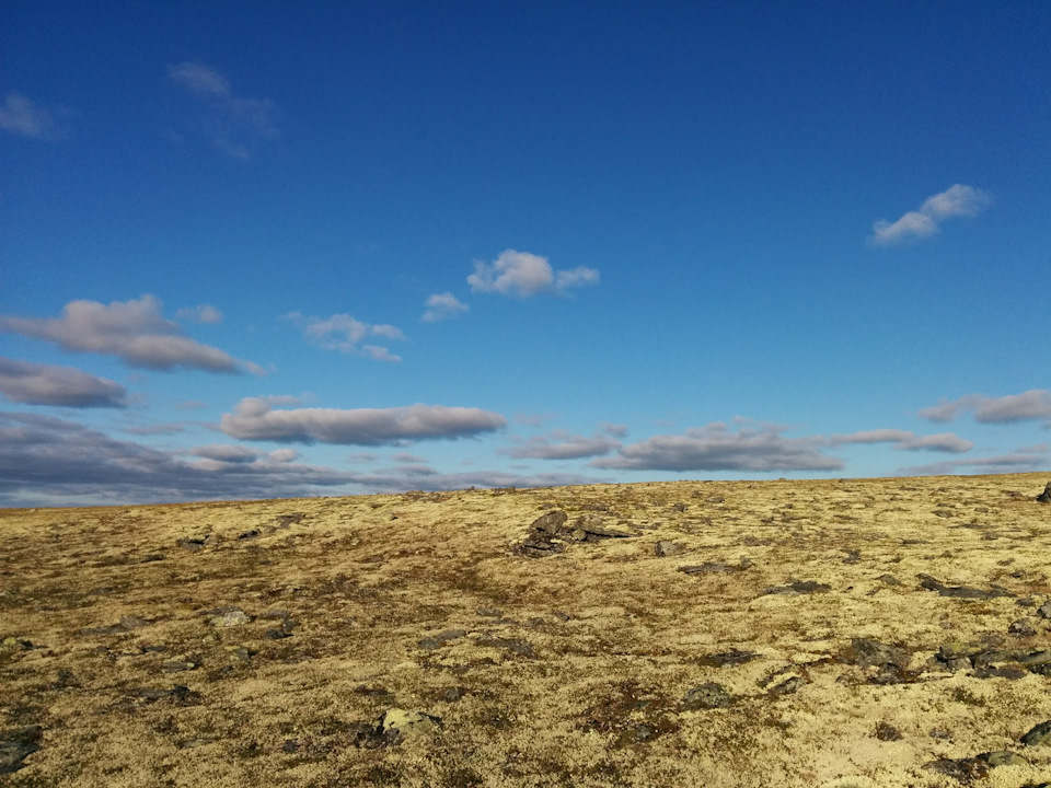 Фото в бортжурнале УАЗ 315195 Hunter