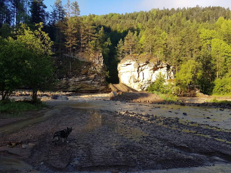 Фото в бортжурнале УАЗ Patriot