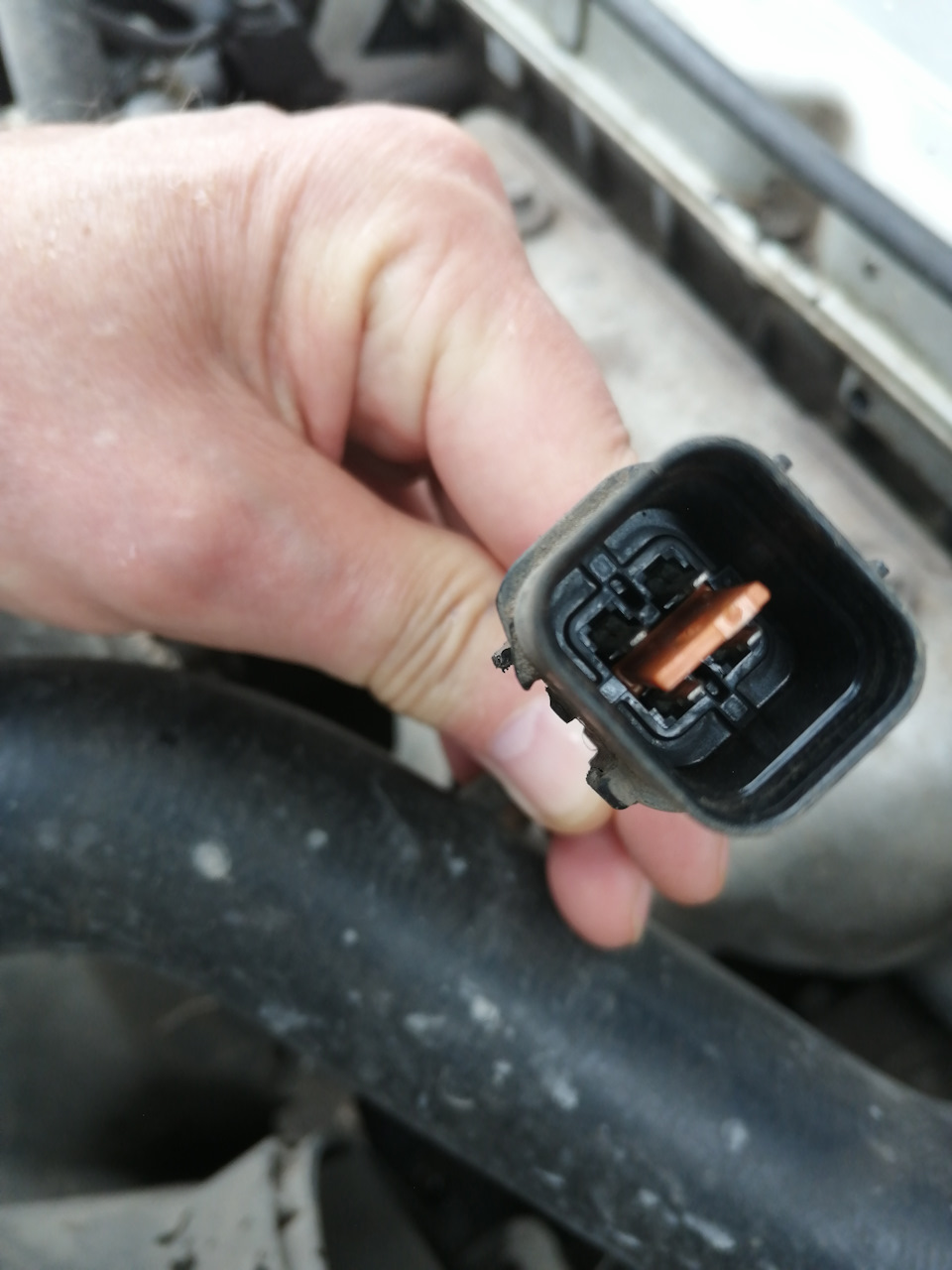 Фото в бортжурнале Mitsubishi Carisma