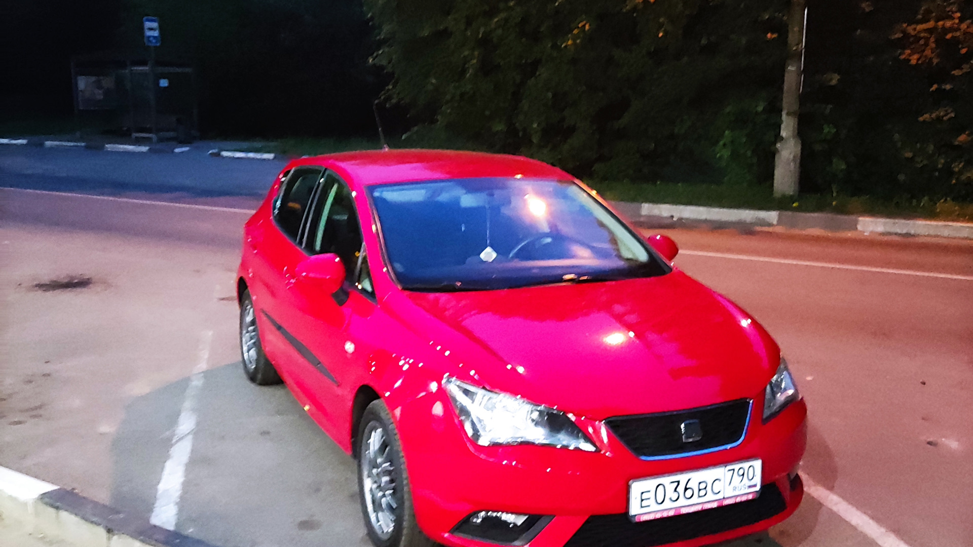 SEAT Ibiza (6J) 1.2 бензиновый 2012 | Красная ибица на DRIVE2