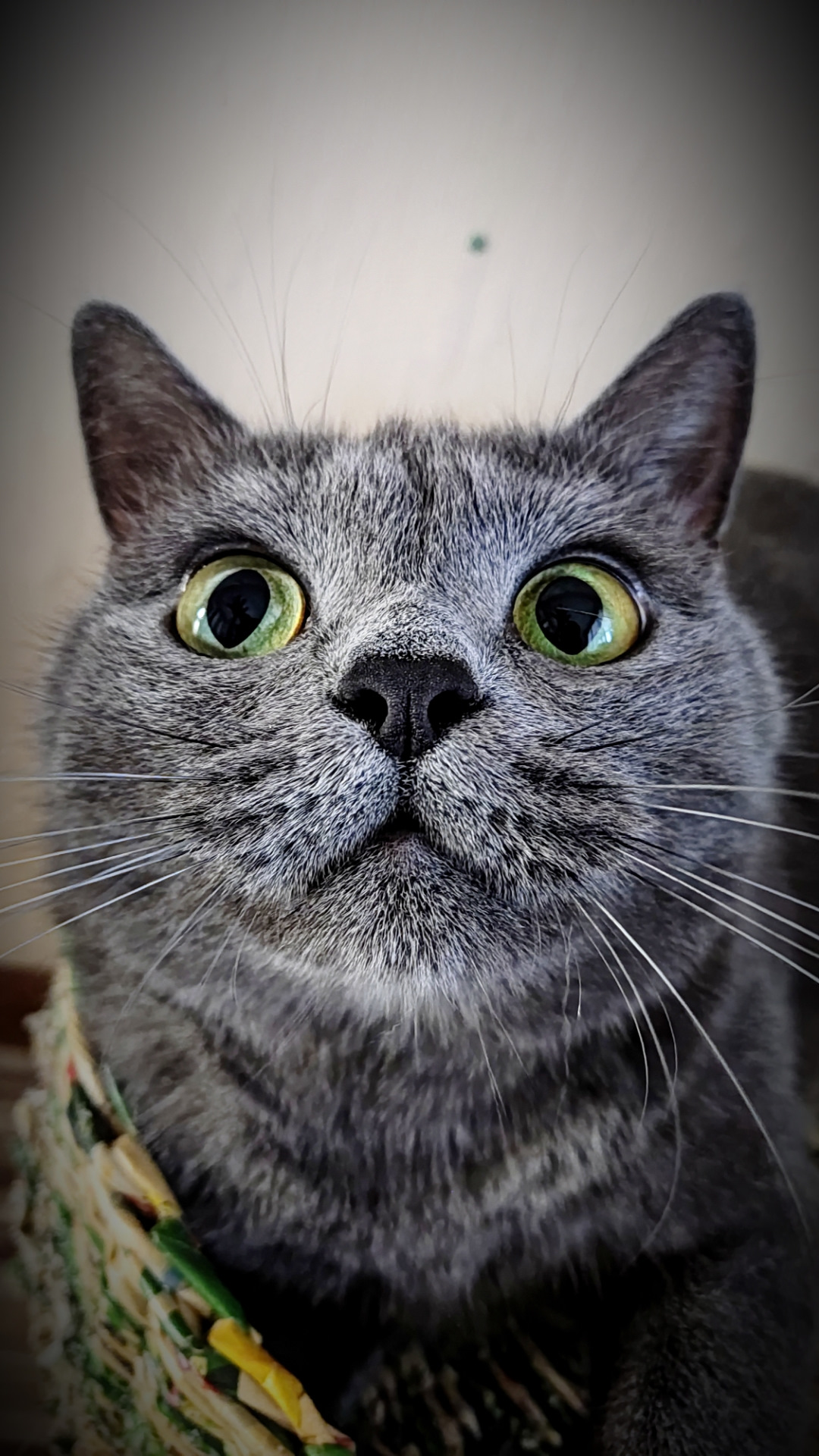 Анализ отработки моторного масла SINTEC Platinum SAE 0W-20 API SP/CF ...