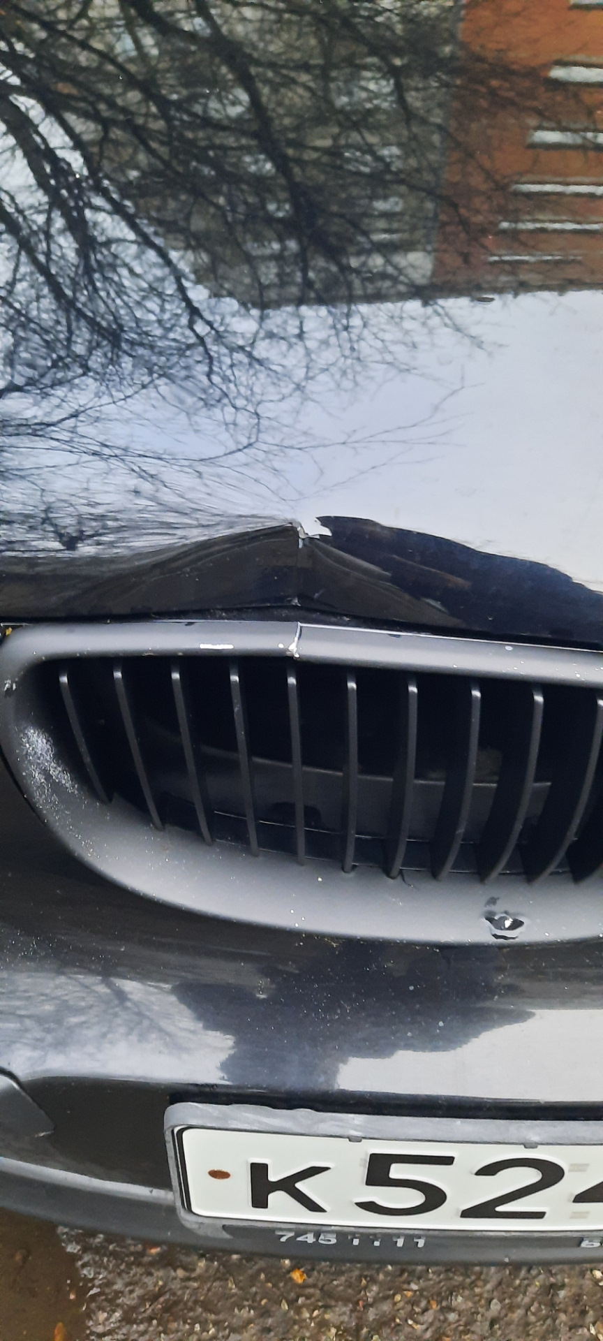 Решетка радиатора или ноздри — BMW 1 series (E81/E87), 1,6 л, 2009 года ...