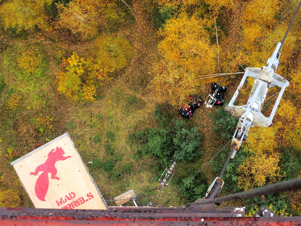 установка сетки в решетку радиатора. — Skoda Octavia Mk3, 1,6 л, 2015 ...