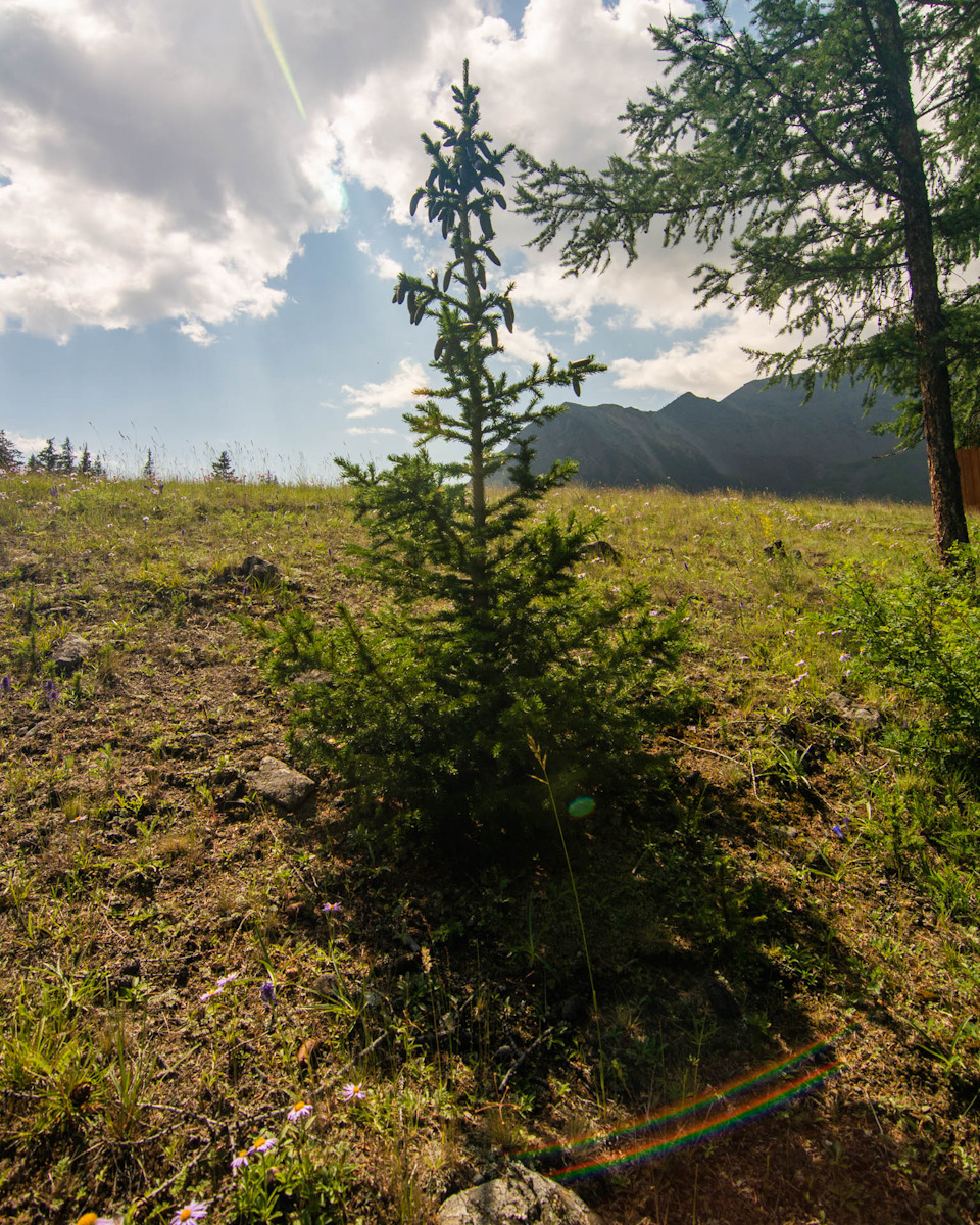 Фото в бортжурнале Suzuki Vitara XL7