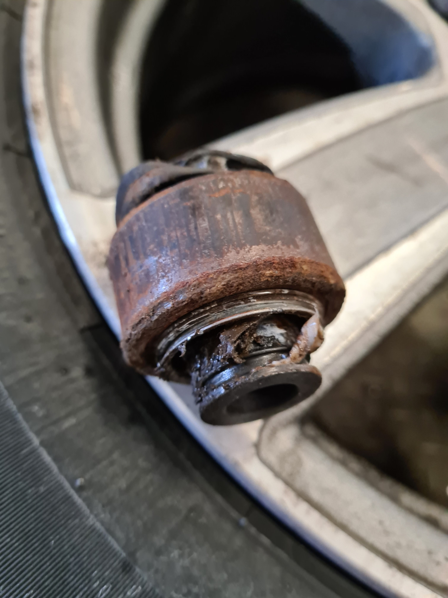 задний плавающий сайлентблок. — BMW 3 series (E90), 2 л, 2006 года ...