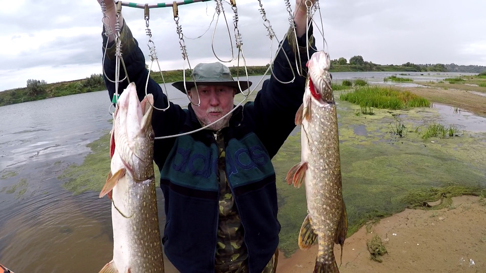 Странные звуки — Volkswagen Polo Sedan, 1,6 л, 2011 года | поломка | DRIVE2