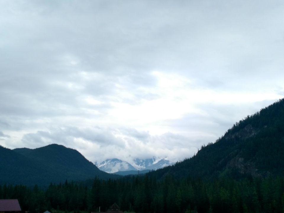 Распиновка датчика парктроника ситроен