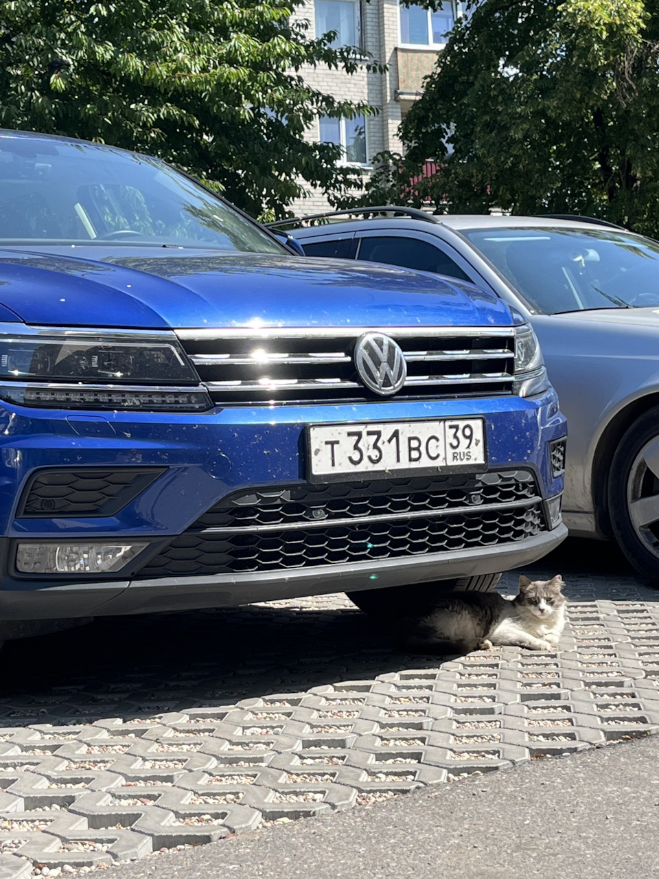 Дорога в Калининград через Минск, Вильнюс. — Volkswagen Tiguan (2G), 2 л,  2018 года | путешествие | DRIVE2