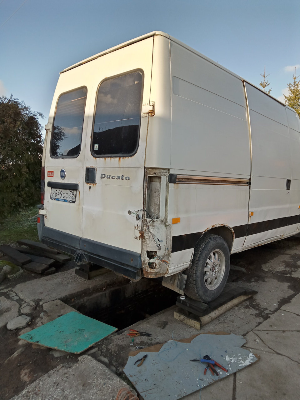 Борьба с крысами. — FIAT Ducato II, 2,8 л, 1998 года | электроника | DRIVE2