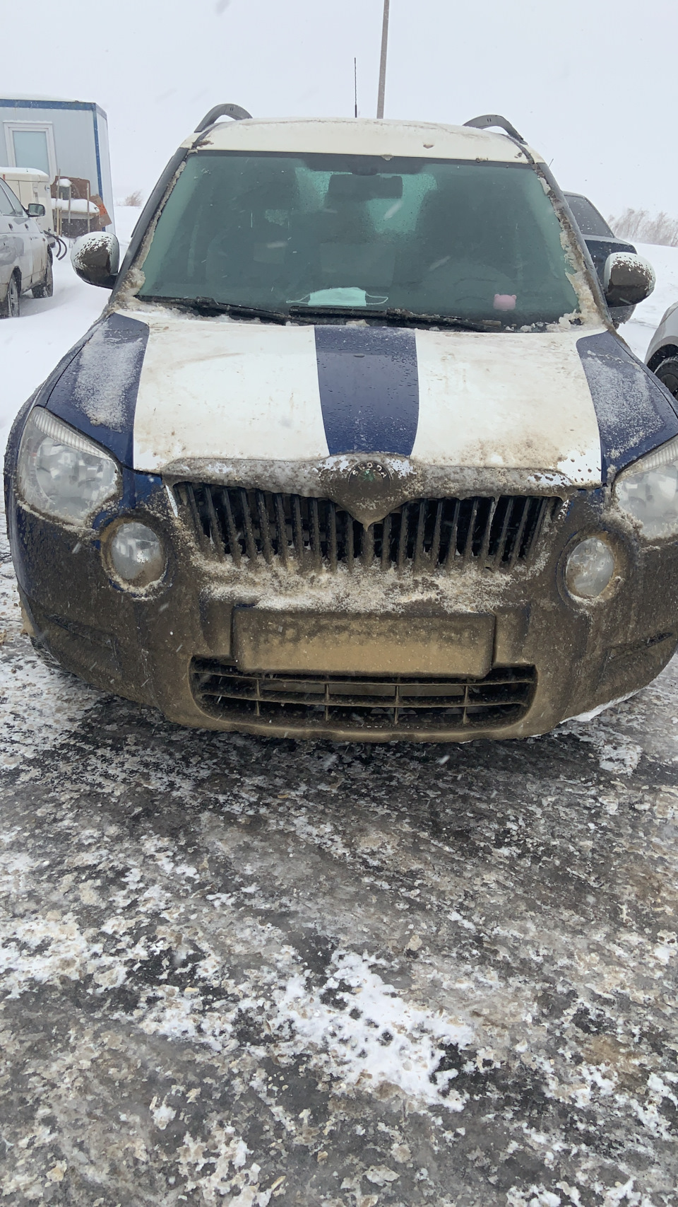 Да начнутся голодные игры! — Skoda Yeti, 1,2 л, 2010 года | поломка | DRIVE2