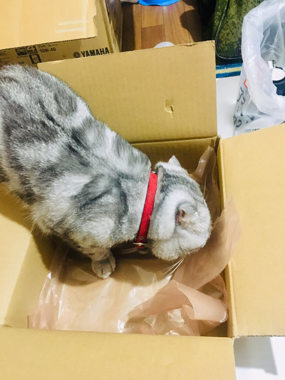 Замена рычаг передний левый верхний (рестайлинг ).Замена задней опоры ...