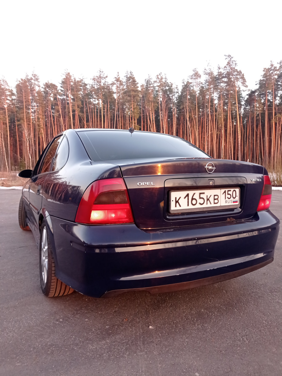 Светимся по-новому :) Arteb! И плафоны подсветки номерного знака — Opel  Vectra B, 1,6 л, 2000 года | тюнинг | DRIVE2