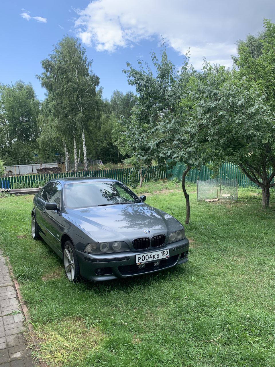 Продал синюю, купил серую 39 дизель. — BMW 5 series (E39), 2,2 л, 2001 года  | покупка машины | DRIVE2