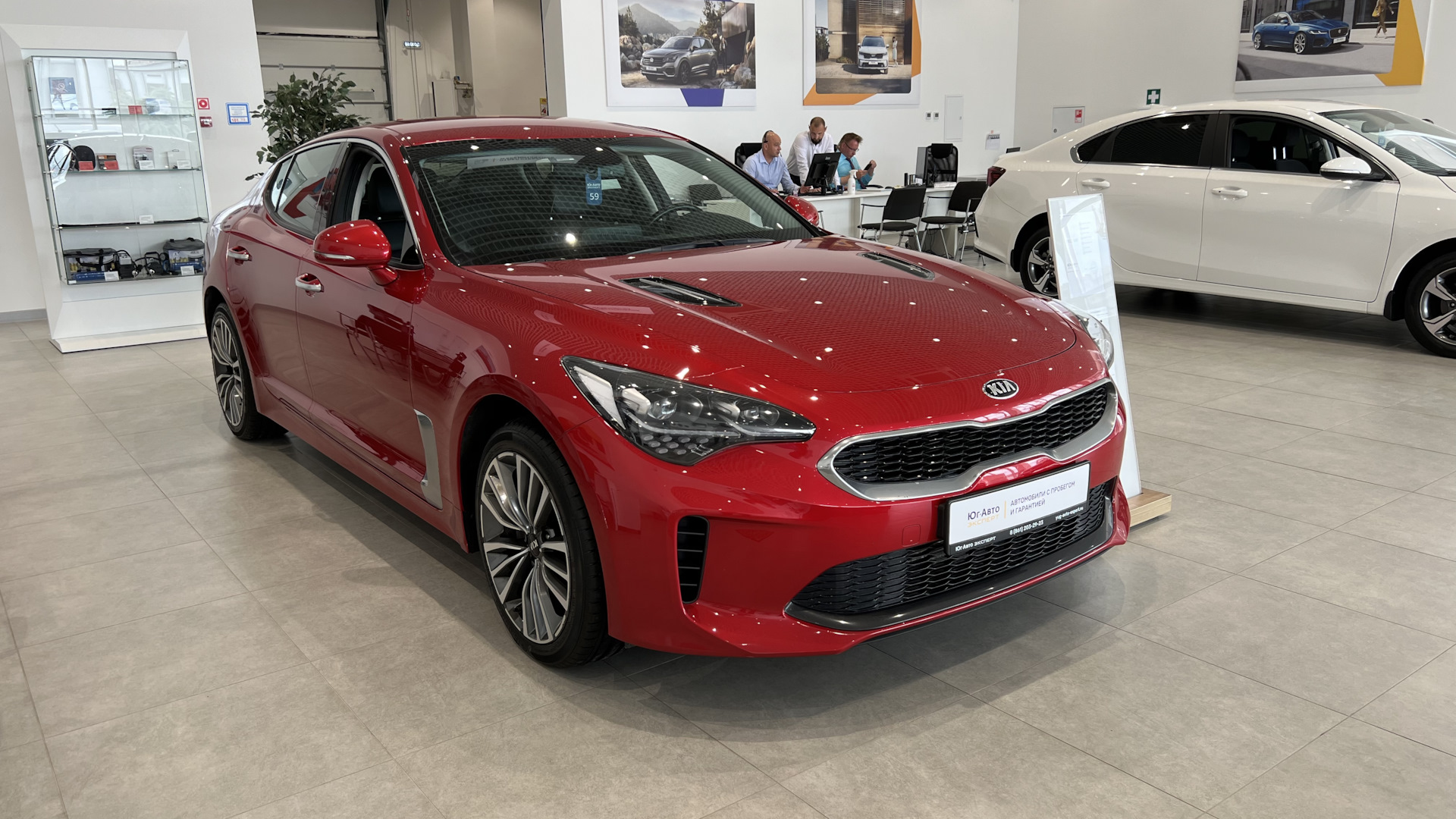 KIA Stinger 2.0 бензиновый 2018 | на DRIVE2