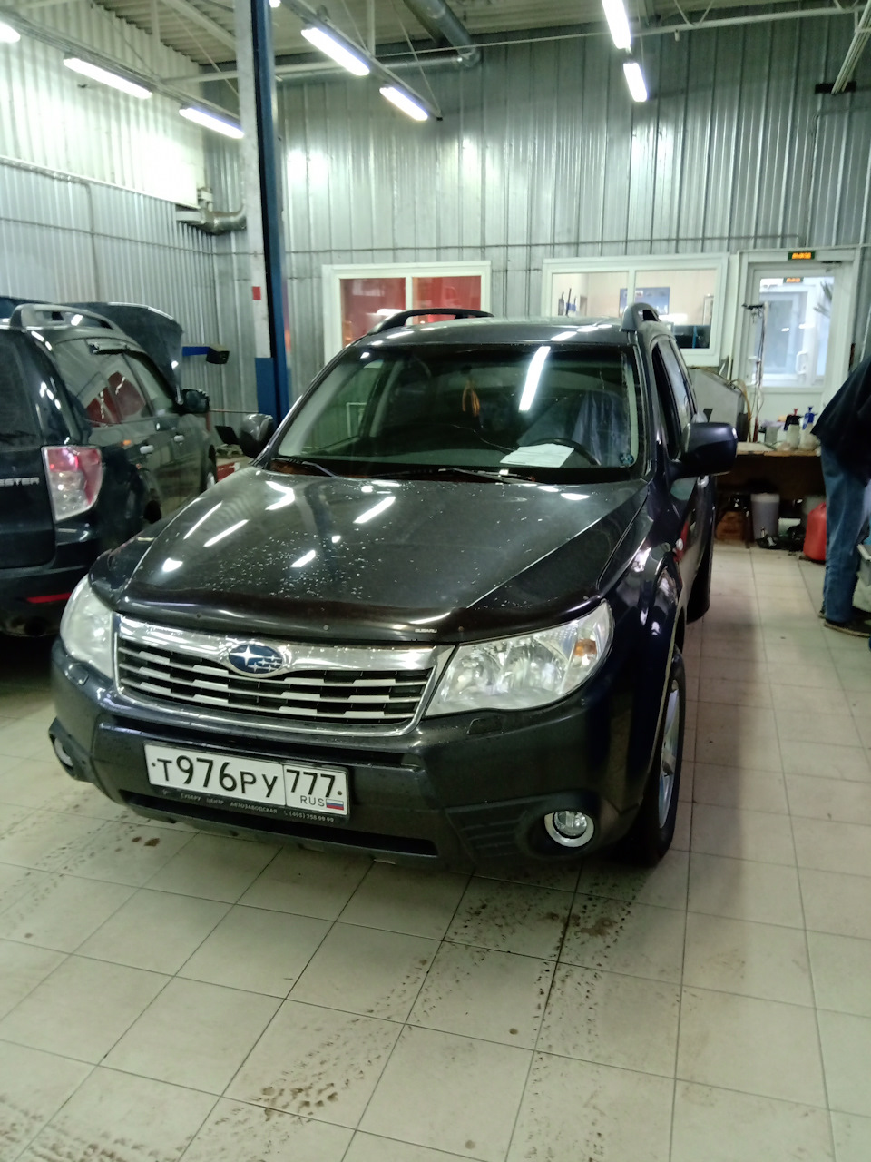 Фото в бортжурнале Subaru Forester (SH)