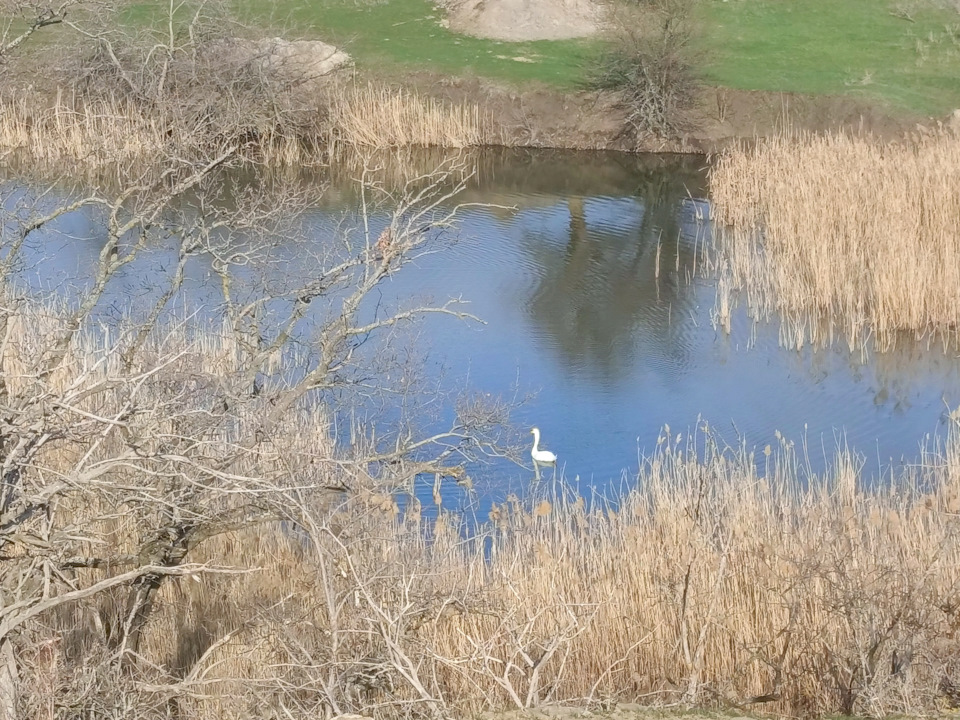 Фото в бортжурнале УАЗ Patriot