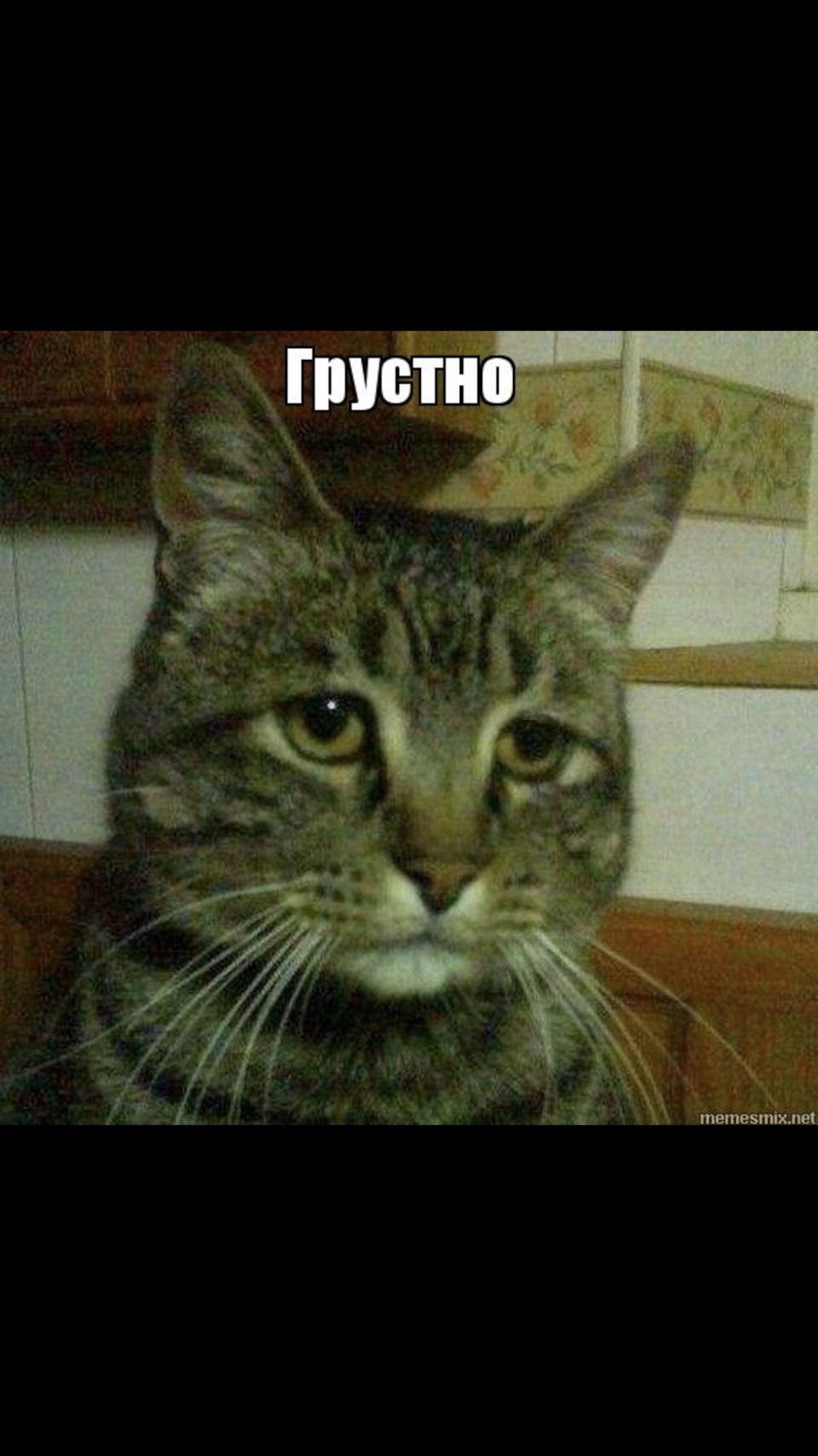 Пропали габариты и подсветка. — Subaru Legacy (BE/BH/BT), 2 л, 2001 ...