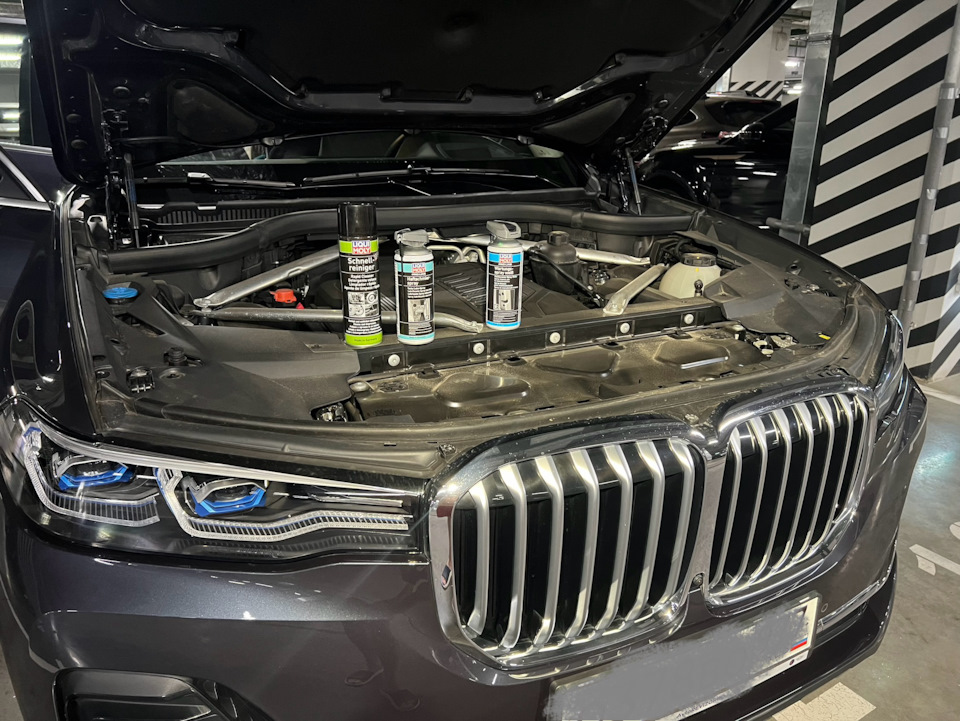 Фото в бортжурнале BMW X7 (G07)