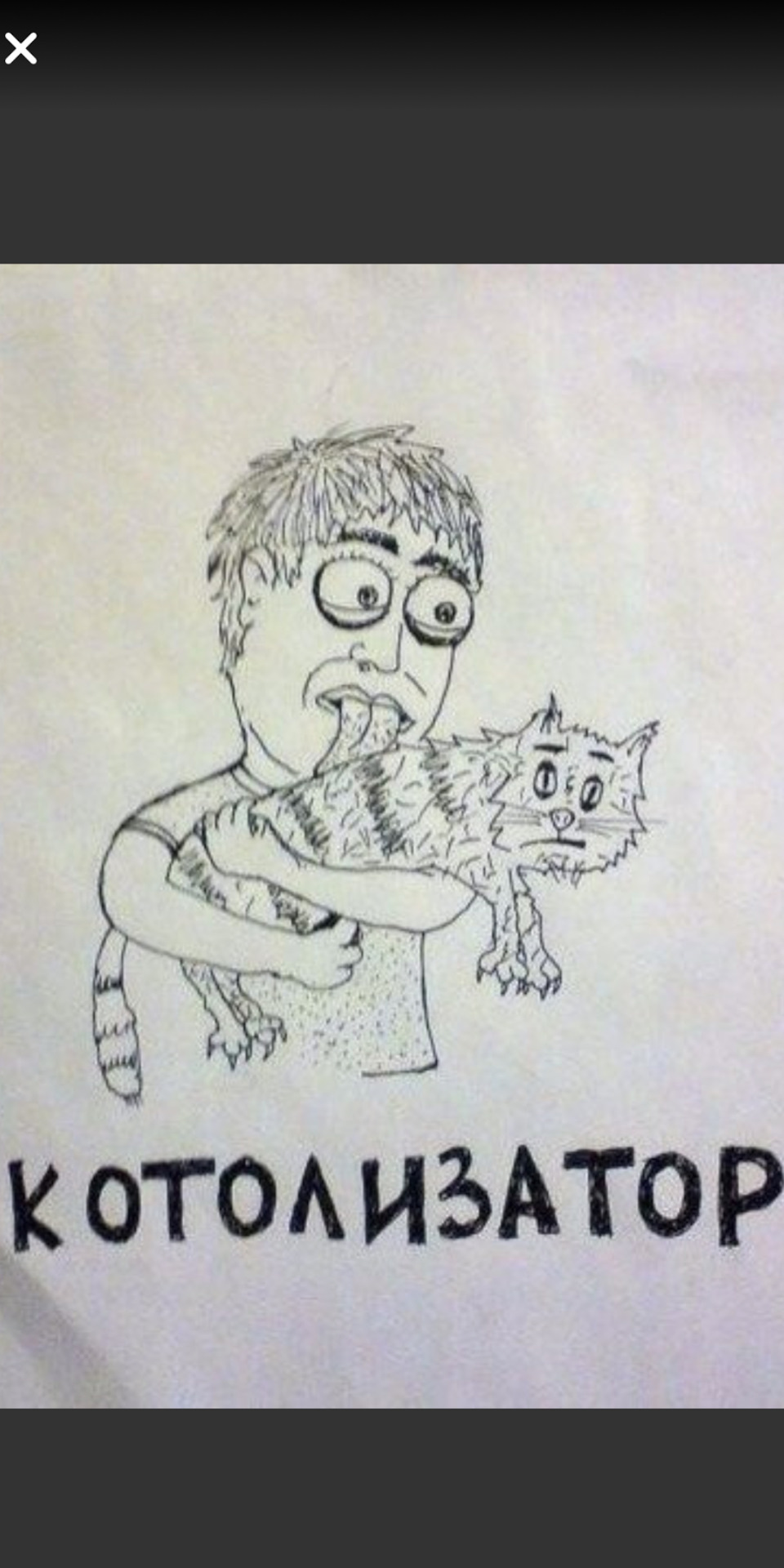 Котолизатор — Lada Калина хэтчбек, 1,4 л, 2010 года | тюнинг | DRIVE2