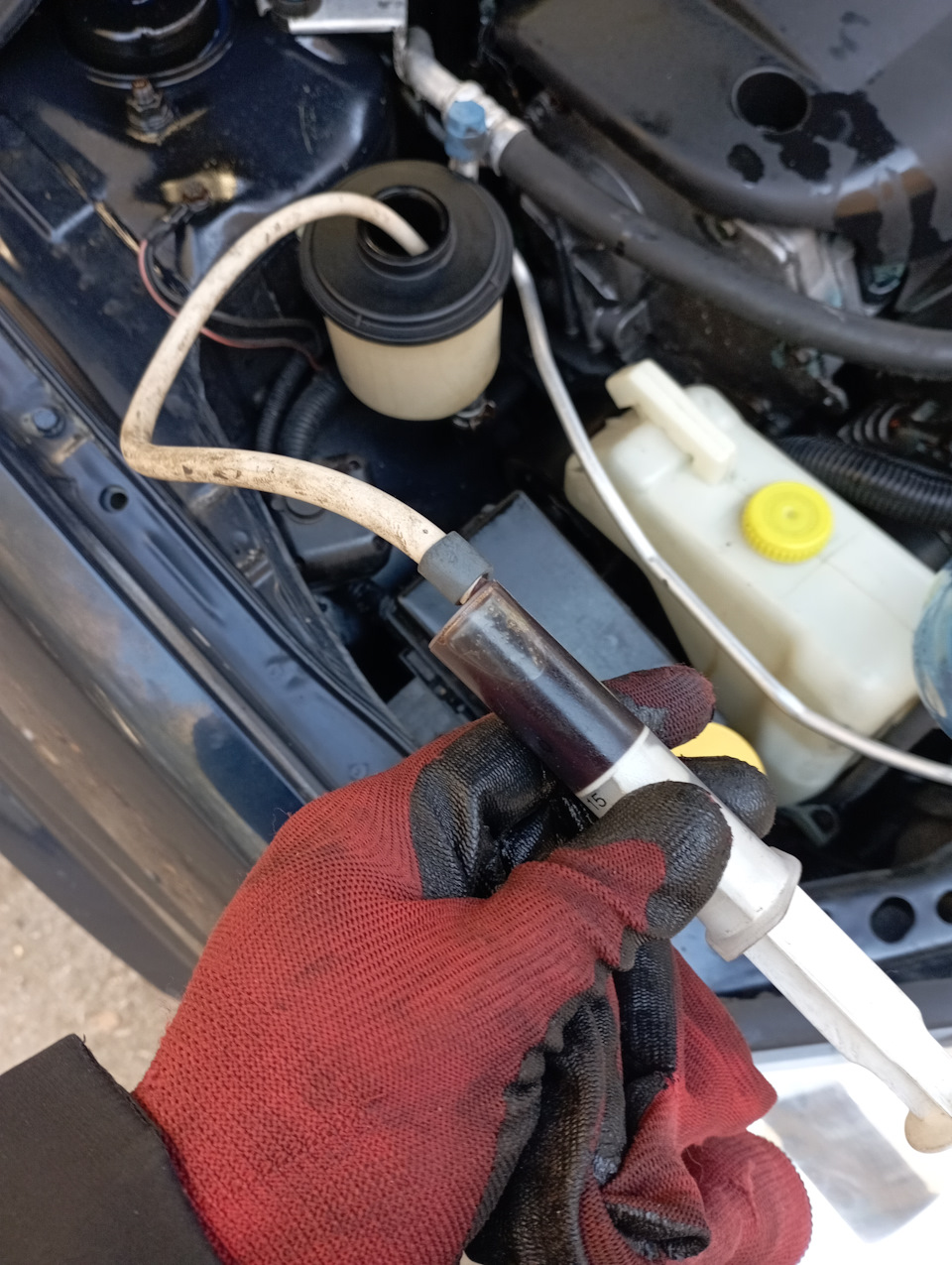 Замена масла в гуре — Nissan Primera (P12), 2 л, 2007 года | своими ...