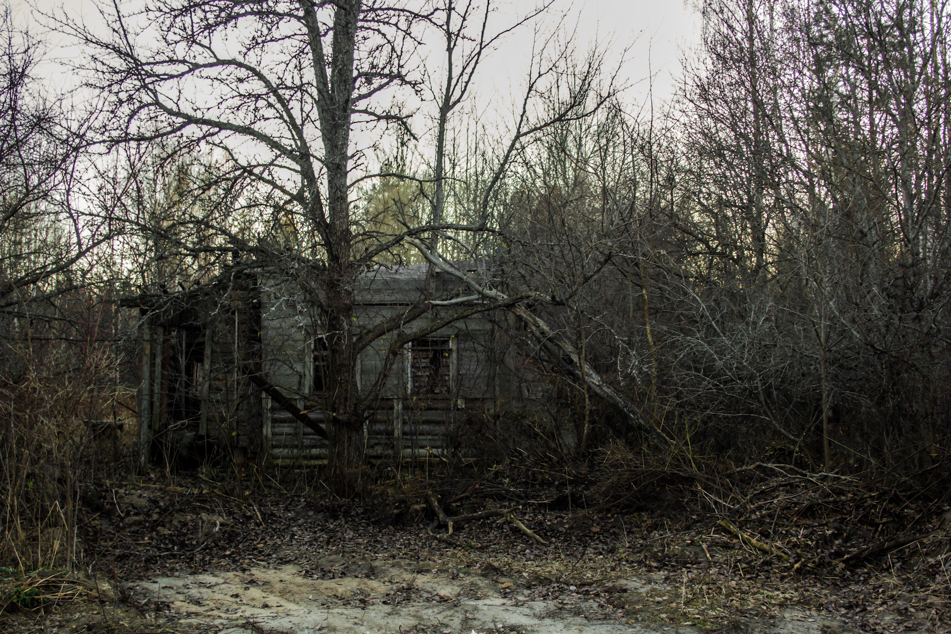 Покинутые поселки. Покинутые поселки. Заброшенная деревня шкавырна нижний новгород. Покинутые поселки. Пегрема деревня в карелии фото.