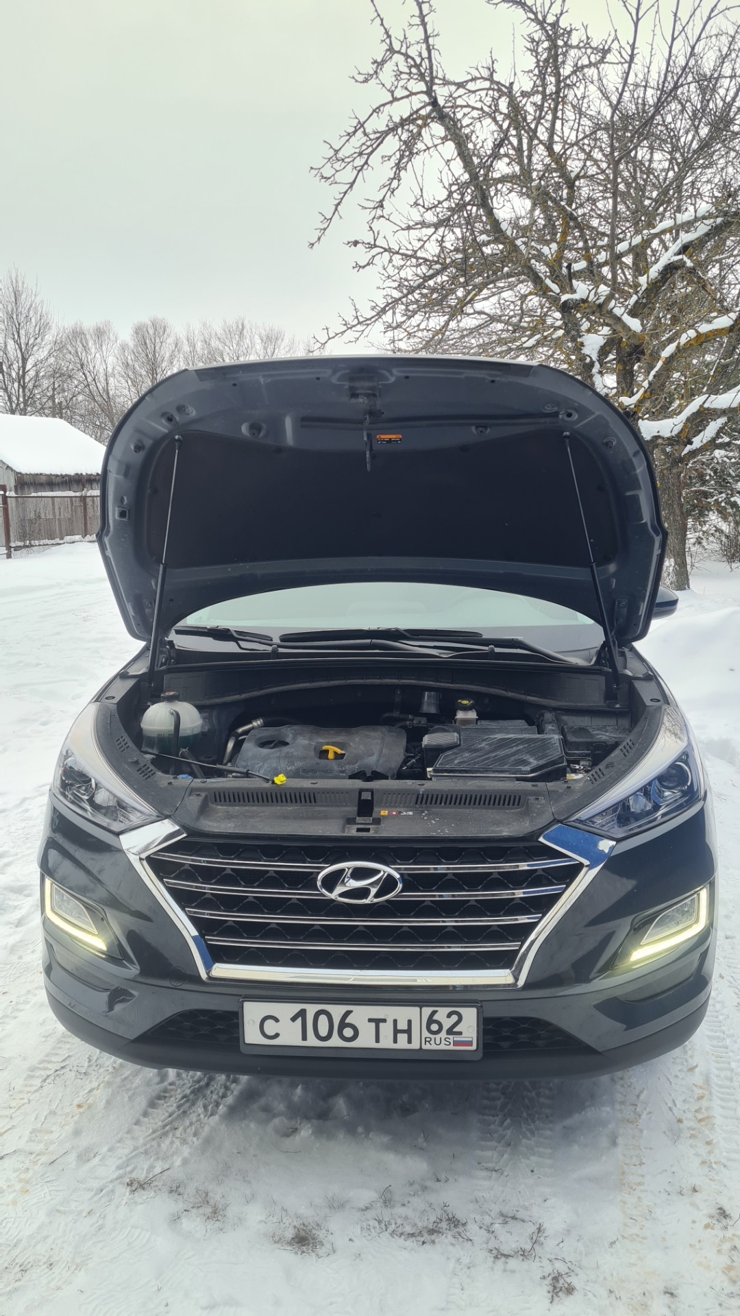 Газовые упоры капота — Hyundai Tucson (TL), 2 л, 2020 года | стайлинг ...