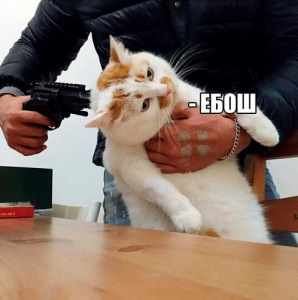 W33SIQWmO_zCpaBosI8NahC2_fA-960.jpg