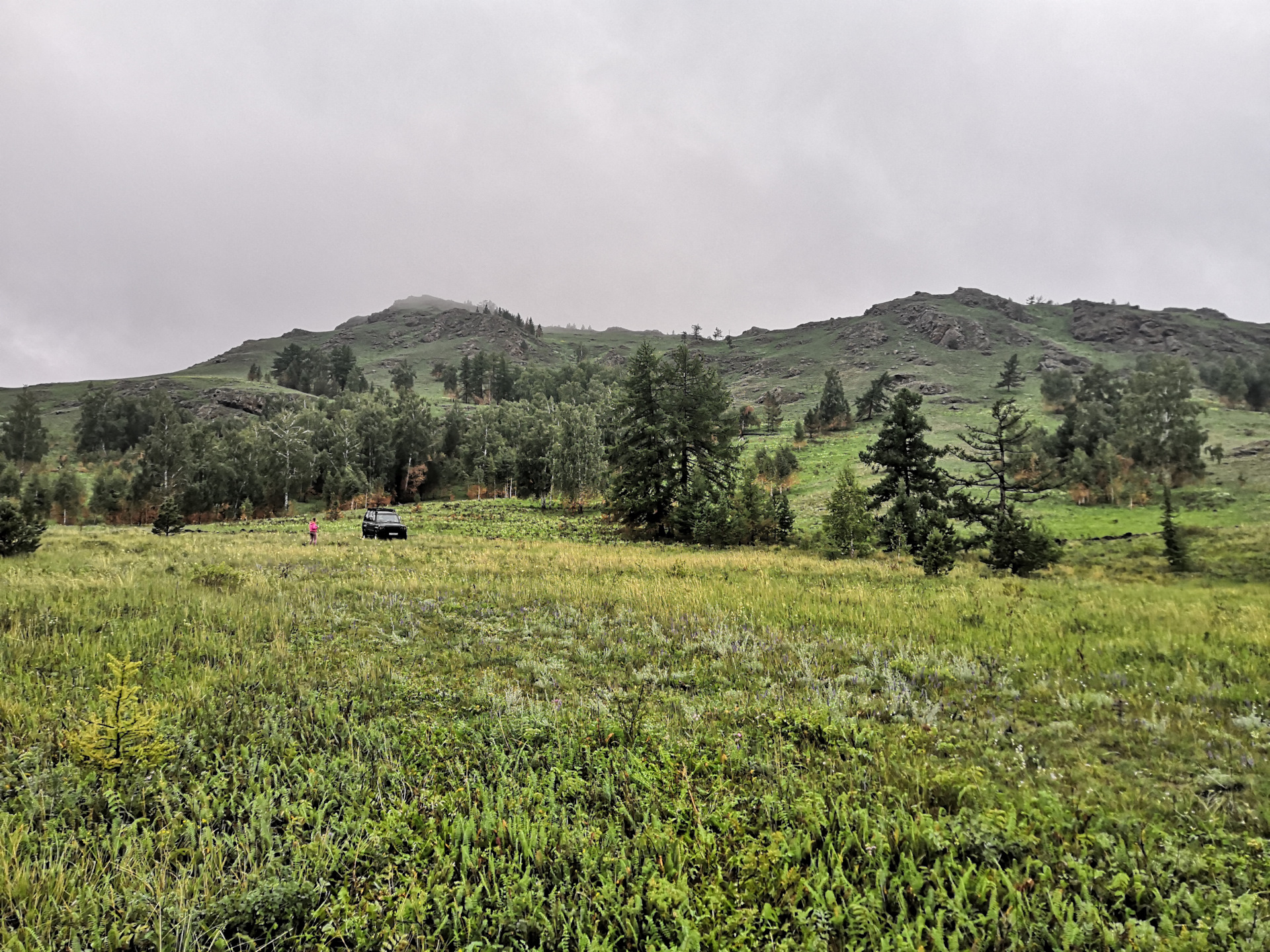Не работает память сидений фольксваген туарег - 95 фото