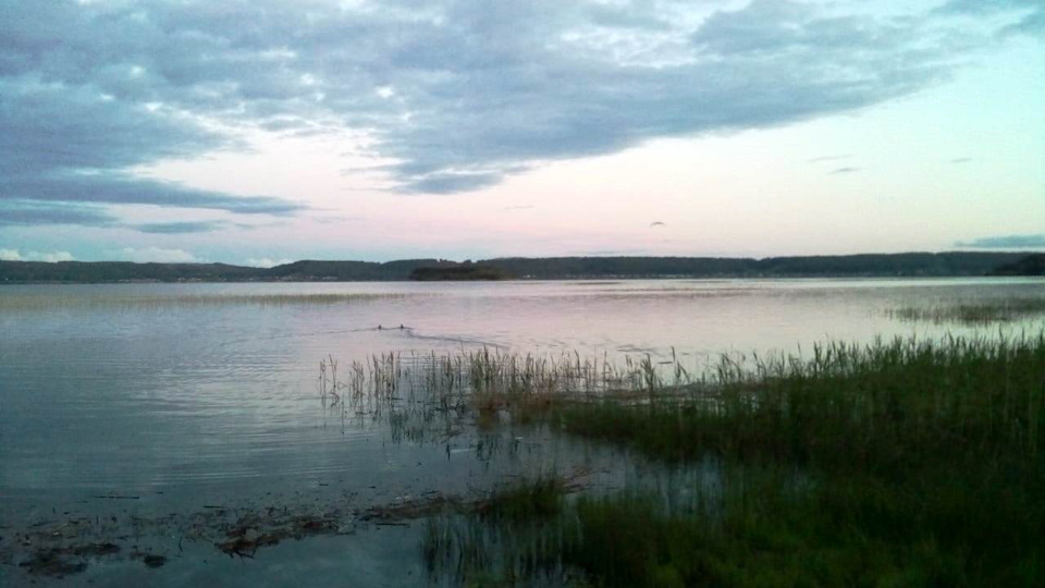 какая рыба водится в озере кандрыкуль башкирии. Смотреть фото какая рыба водится в озере кандрыкуль башкирии. Смотреть картинку какая рыба водится в озере кандрыкуль башкирии. Картинка про какая рыба водится в озере кандрыкуль башкирии. Фото какая рыба водится в озере кандрыкуль башкирии